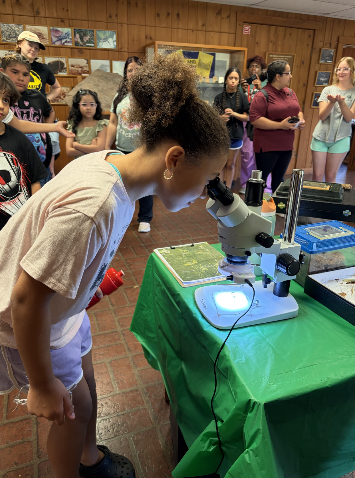 Students participating in environmental education